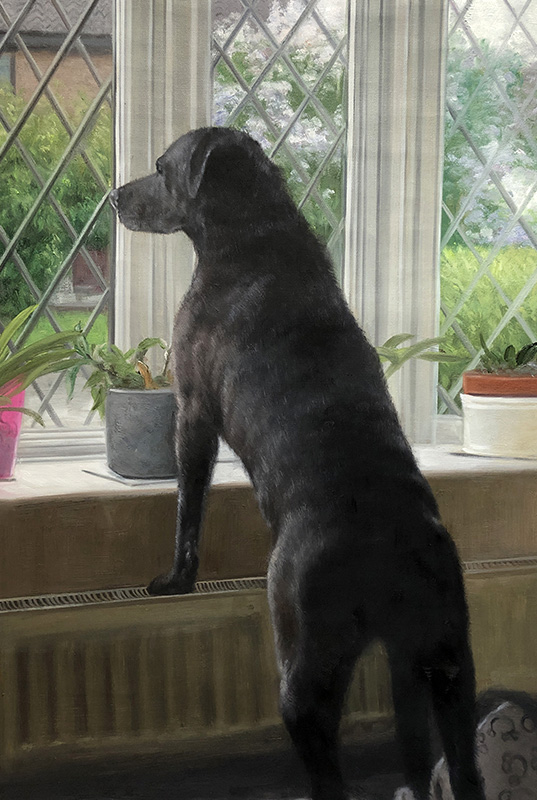 Dog at the Window