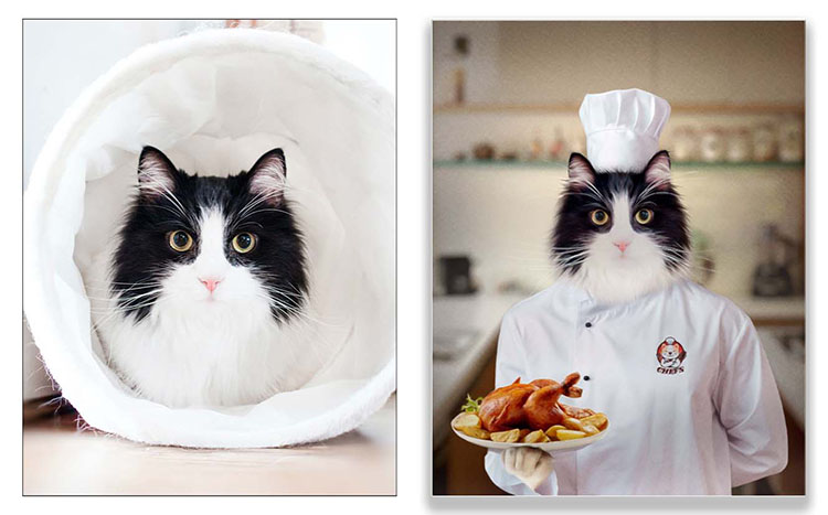 Oil painting of a cat in a chef's outfit